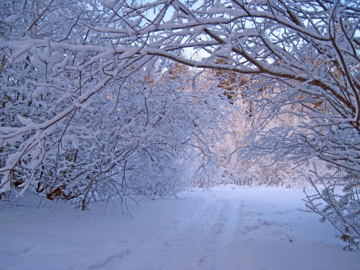 693934 (a): :2560x1920